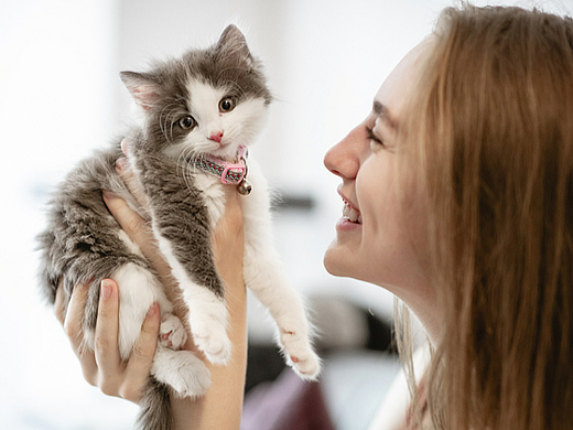 宠物防猫抓垫