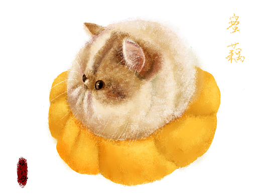 蜜藕