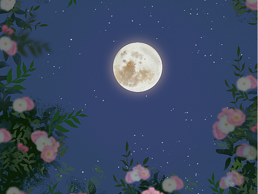 #速写人间烟火#蔷薇夜晚月亮插画