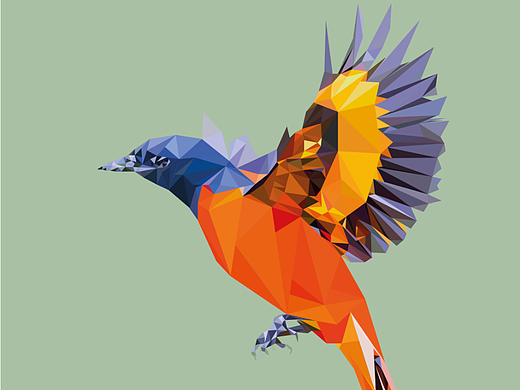 lowpoly风格珍惜鸟类1