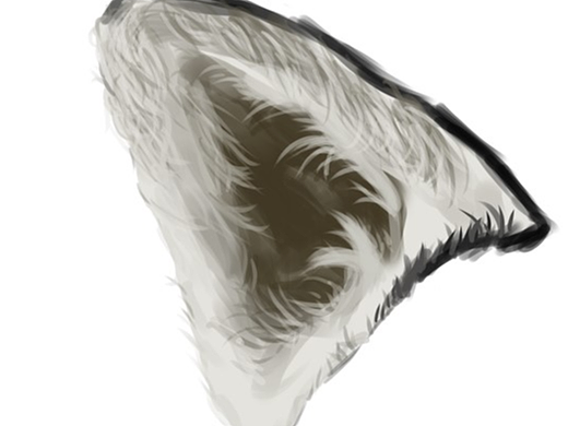 手绘—-狗狗耳朵（个人主页-ZNjAyNTIwMDg=） - 绘本 - 站酷设计师椰子浆原创素材 - 站酷ZCOOL