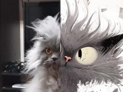 丑猫合辑(第一期)—潦草猫，主打一个抽象