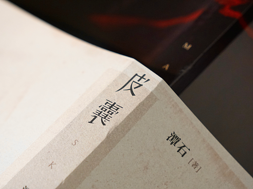 《皮囊》丨书籍装帧设计