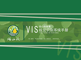 vi设计 砀山秋梨膏