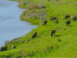 3月 | 阳光骑行油菜花