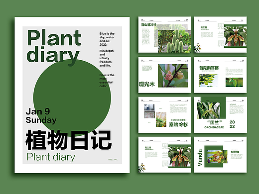 原创设计|绿色植物书籍画册排版设计