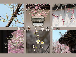 东晋梅岗摄影
