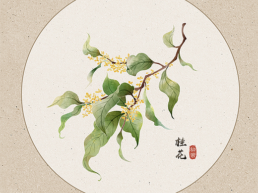 植物绘