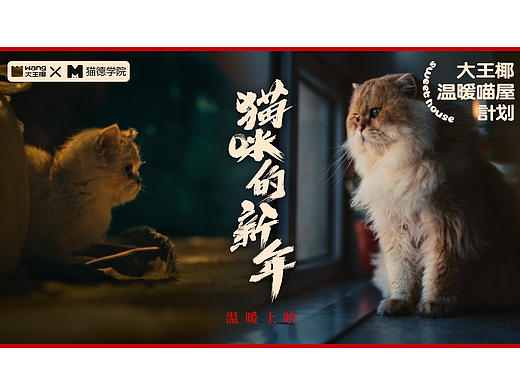 大王椰公益CNY｜《猫咪的新年》