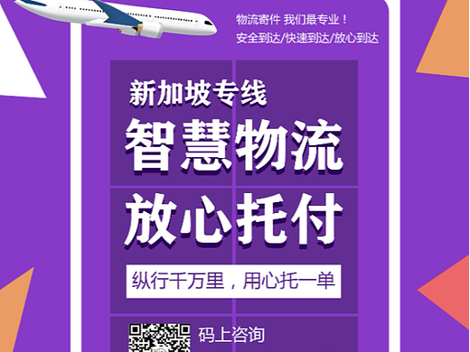 东莞新加坡专线物流 食品寄到新加坡专线海报