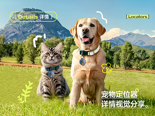 宠物定位器详情