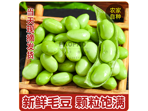 全网爆款新鲜毛豆主图片