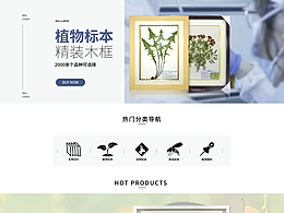 网站设计