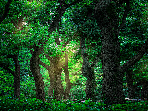 runway视频（个人主页-ZNjgyNjQ5ODg=） - AI作品 - 站酷设计师OvO小橘子i原创素材 - 站酷ZCOOL