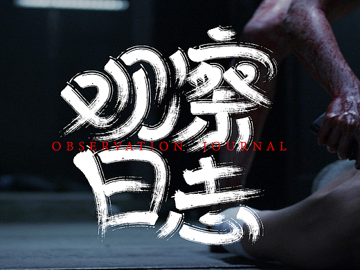 观察日记