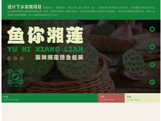 《“鱼你湘莲”新鲜莲蓬仿生包装》