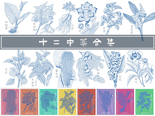 版画风中药材图谱