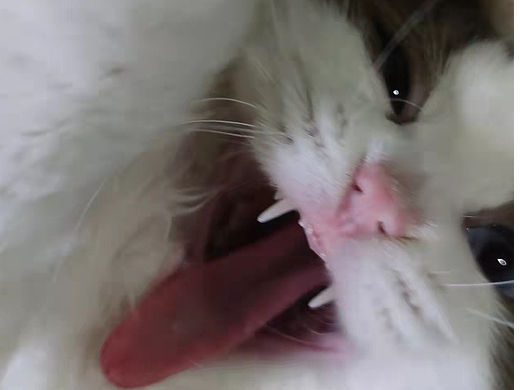 ip（個人主頁-ZNjIzNjYxNzI=） - 其他 - 站酷設計師Z424214644原創(chuàng)素材 - 站酷ZCOOL