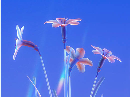 玻璃花