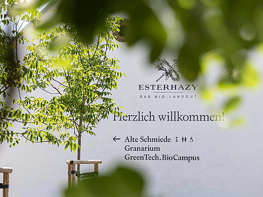 导视系统设计 Esterhazy庄园