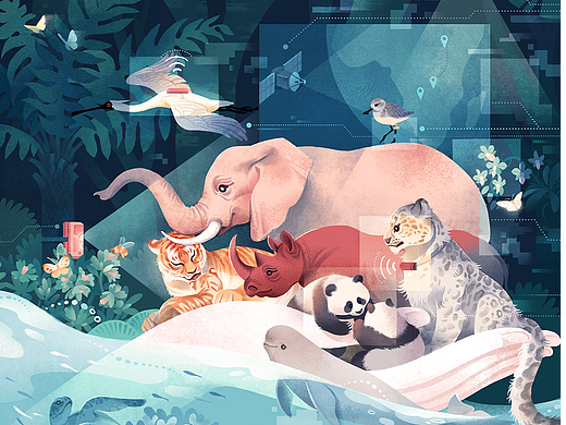 WWF:世界野生动植物日宣传海报