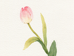 花鸟草卉