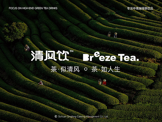 品牌设计 | 清风饮中高端绿茶饮品品牌设计