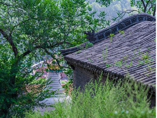 五台山一隅