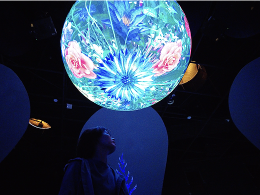 展厅｜SHANGHAI 第十届中国花博会CHINA FLOWER EXPO