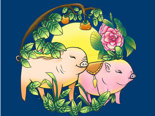 小猪-插画习作