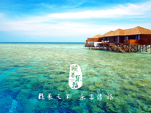 颐养乐福  logo提案