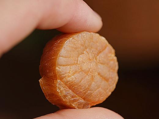 元贝拍摄 食材拍摄（个人主页-ZNjY0ODM3NDA=） - 产品摄影 - 站酷设计师肥肥7025原创素材 - 站酷ZCOOL