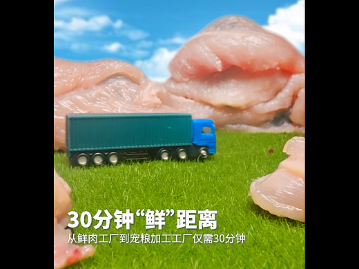 双拼烘焙猫粮视频拍摄