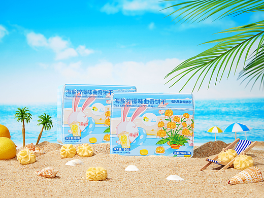 AKOKO 海盐柠檬曲奇饼干 ❌ 梦途摄影