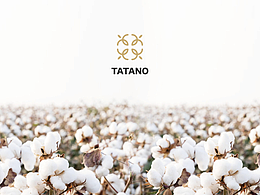 TATANO标识策划