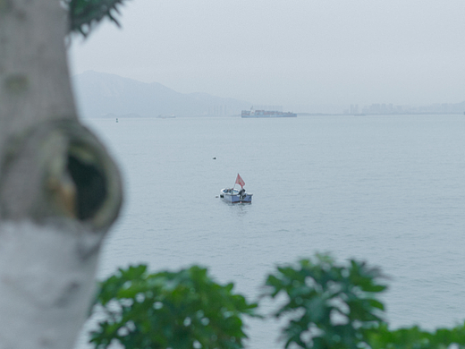 随便拍拍