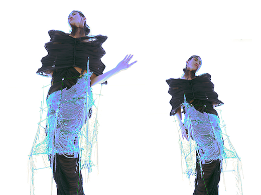 以小观大-异形苔藓