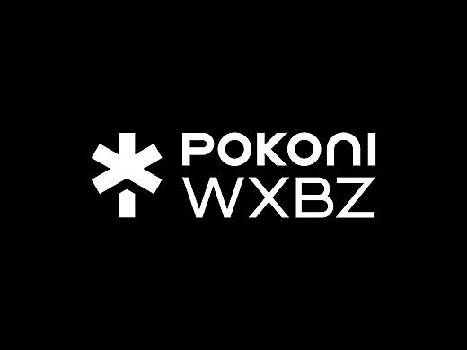 POKONI 蒲公英·万象并作丨品牌设计Branding