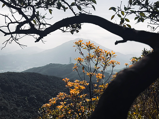 Shot on iPhone | 瞎拍