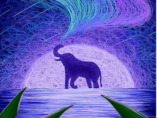 画师繁星2.0|第二期第二周|线圈梦幻象