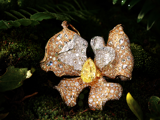 森林系列（個人主頁-ZNjU1NjA4Njg=） - 產(chǎn)品攝影 - 站酷設(shè)計師唯心怒爾原創(chuàng)素材 - 站酷ZCOOL