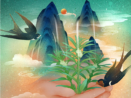 芝麻包装设计插画封面