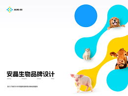 安晶生物品牌設計方案
