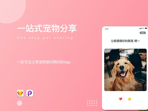 2022 UI 作品 宠物app