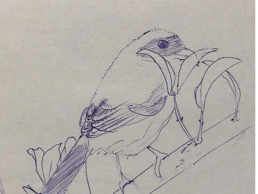 手绘速写打卡16（个人主页-ZNjMyNTQ4NDA=） - 创作习作 - 站酷设计师老林学画画原创素材 - 站酷ZCOOL