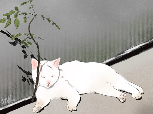 手绘晒太阳的猫（个人主页-ZNTkxMTc4OTI=） - 创作习作 - 站酷设计师三只橙子原创素材 - 站酷ZCOOL