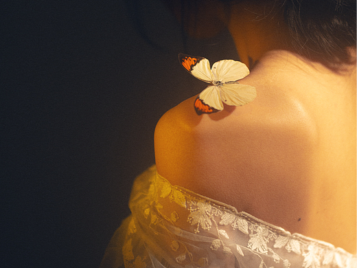 化蝶入梦 梦里有你