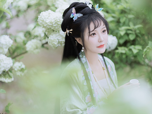 探春