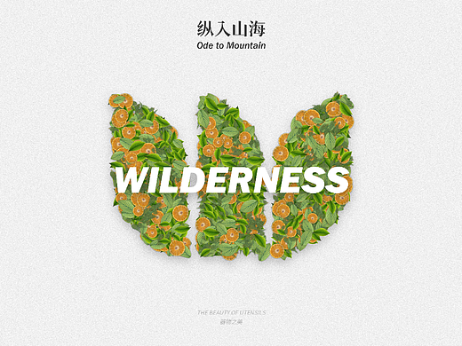 纵入山海品牌设计|茶品牌