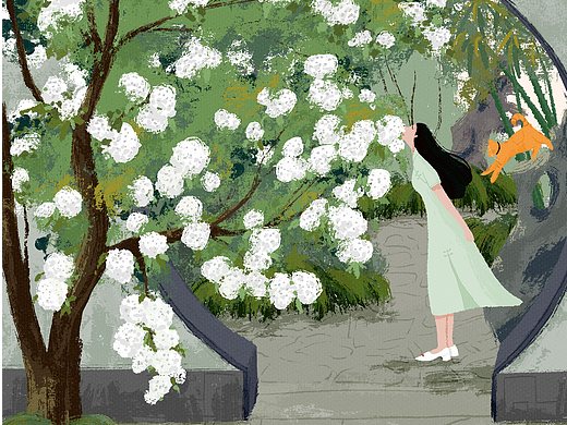 夏日畅想|插画合集